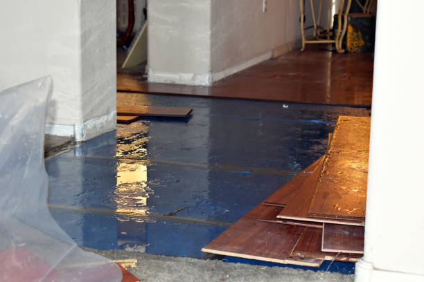Professional Sewage Cleanup technician working in Hawk Point, MO